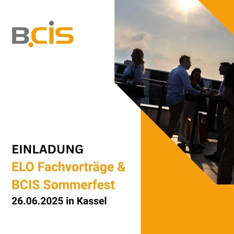 Bcis It Systeme Gmbh & Co Kg